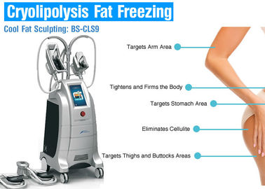 Giảm cân Cryolipolysis Máy giảm béo cơ thể, Thiết bị đốt mỡ không phẫu thuật Hút mỡ