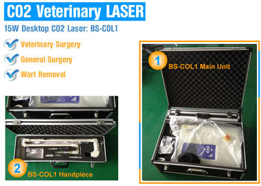 Máy điều trị Laser Fr2 có thể điều trị được để phục hồi / xóa nếp nhăn