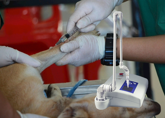 Dụng cụ y tế Máy laser phân đoạn thú y CO2 cho chó / bệnh viện động vật