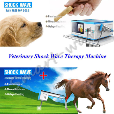 Máy tập trung trị liệu máy phát sóng ngựa cho bệnh đau lưng ngựa
