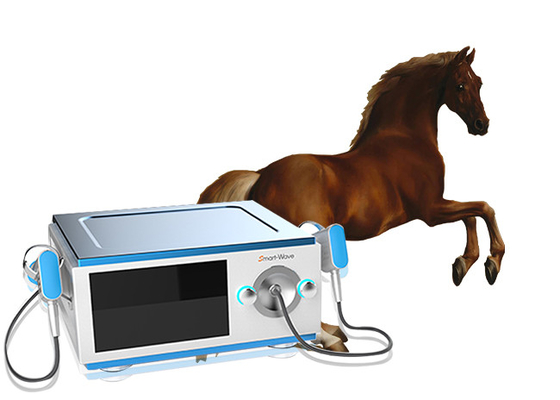 Thiết bị trị liệu sóng xung kích ngựa thấp tiếng ồn cho cơn đau BS-SWT5000