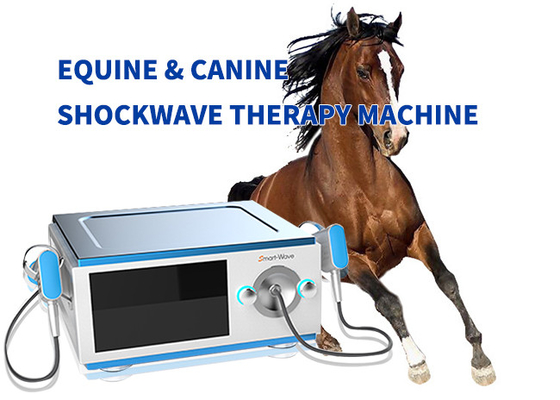 Thiết bị trị liệu sóng xung kích ngựa thấp tiếng ồn cho cơn đau BS-SWT5000