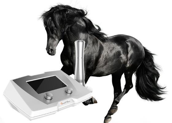 190 MJ Máy trị liệu sốc thú y năng lượng cao cho ngựa và thú cưng nhỏ