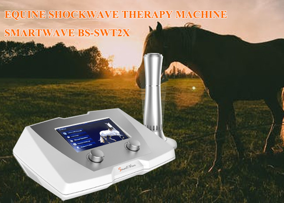 Phòng khám trị liệu bằng sóng xung kích ngựa 1 - 22 Hz cho bệnh dây chằng nghi ngờ