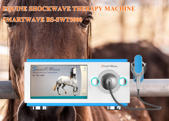 Thiết bị trị liệu bằng sóng xung kích ngoài cơ thể cho ngựa ESWT