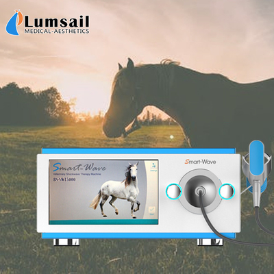 Máy tập trung trị liệu máy phát sóng ngựa cho bệnh đau lưng ngựa