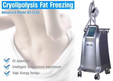 Cryolipolysis Fat Freezing Thiết bị điêu khắc cho cơ thể định hình lại / Giảm béo
