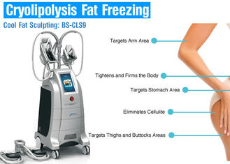 4 Handles Fat Free Cryolipolysis Body Slim Machine để giảm cân / Giảm cellulite