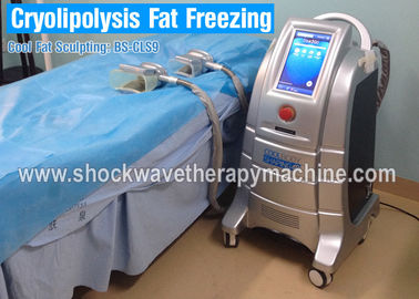 Cryolipolysis Fat Freeze Máy giảm béo với 4 tay cầm để làm đẹp