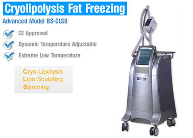 Giảm béo cơ thể / Định hình Máy đông lạnh chất béo với điều khiển nhiệt độ thông minh