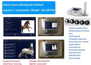 190 MJ Máy trị liệu sốc thú y năng lượng cao cho ngựa và thú cưng nhỏ