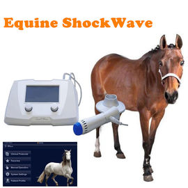 Máy trị liệu sóng xung kích ngoài cơ thể cường độ cao cho ngựa