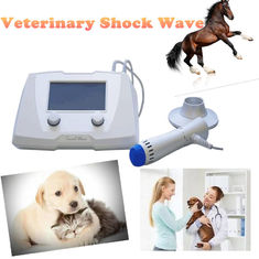 Máy chấn động ngựa thú y cho động vật Vấn đề mềm / chấn thương gân