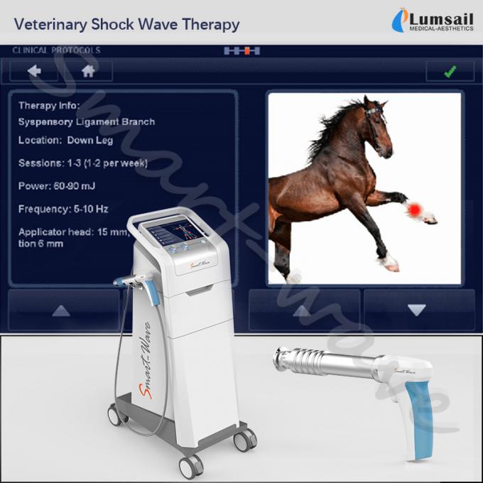 Vật lý trị liệu thú y vật nuôi nhỏ sử dụng liệu pháp sóng xung kích ngoại bào ngựa máy sóng xung kích Equine